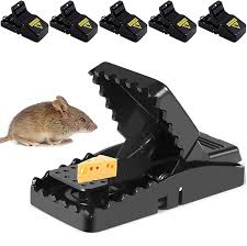 Mouse Trap Plastic