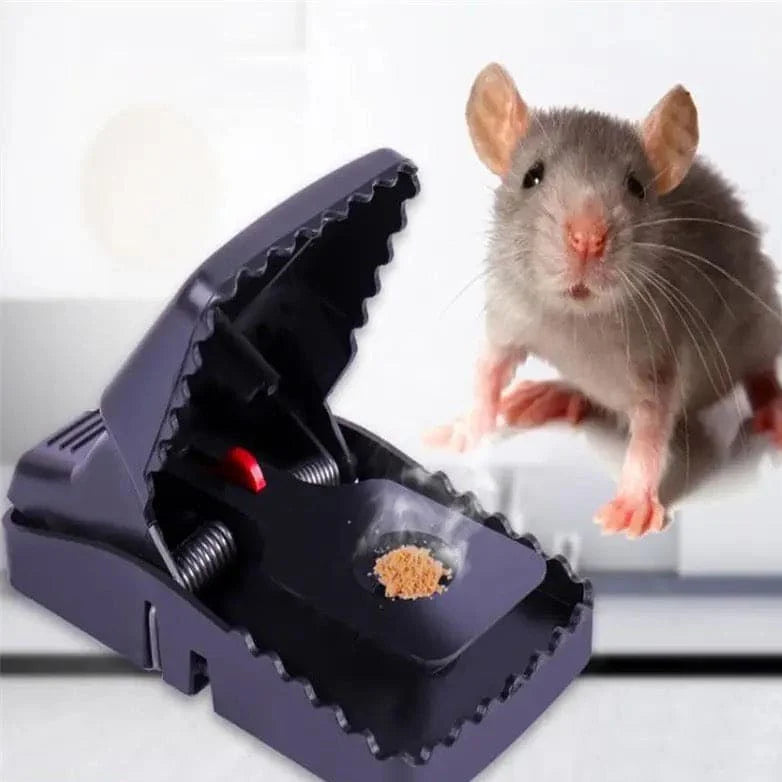 Mouse Trap Plastic