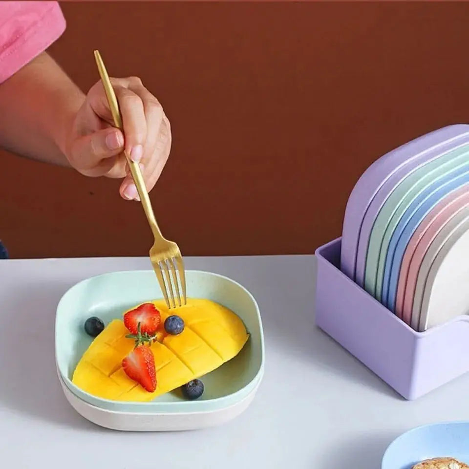 10-Piece Plastic Plates Set With Holder