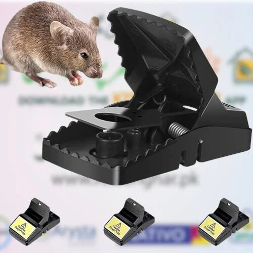 Mouse Trap Plastic